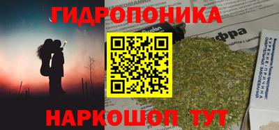 стафф Пенза