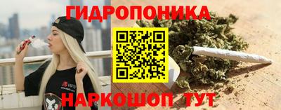 стафф Пенза