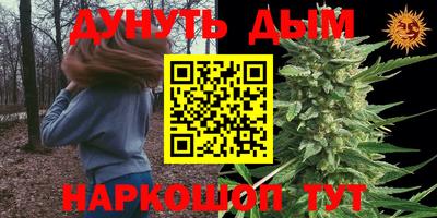 стафф Пенза