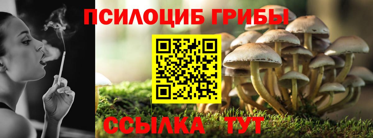 Реж  Псилоцибиновые грибы Psilocybe  Вход с VPN 